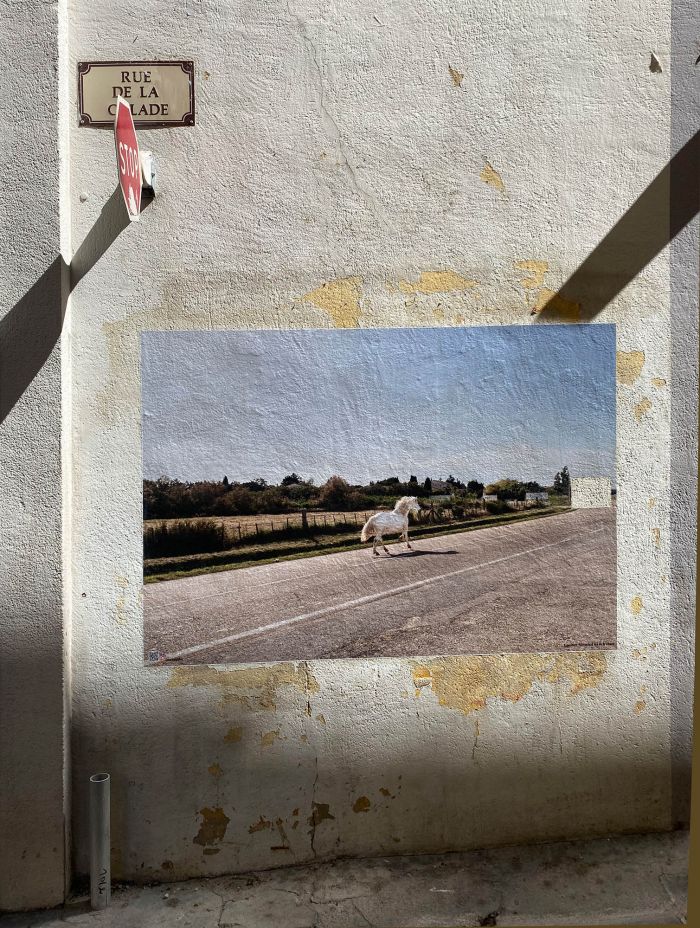 Arles Photography Photo Festival Mick Morley