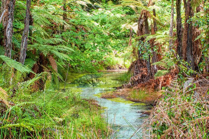 new zealand photography mick morley